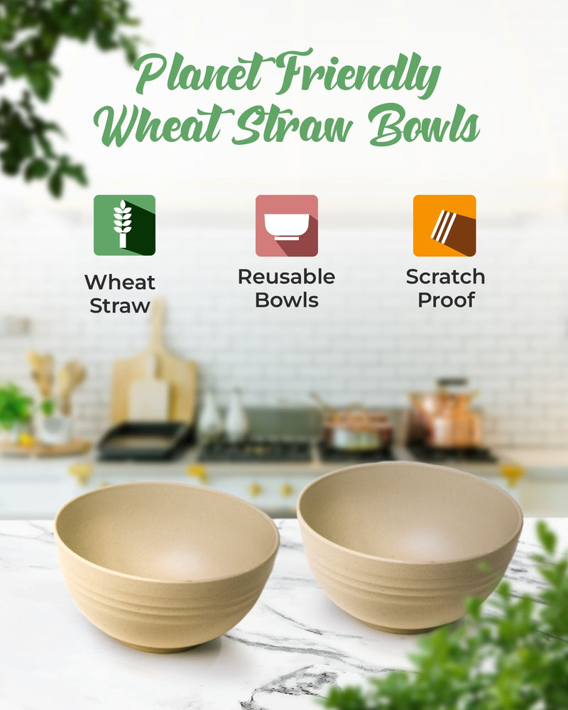 
                  
                    Wheat Straw Bowls Set of 4
                  
                