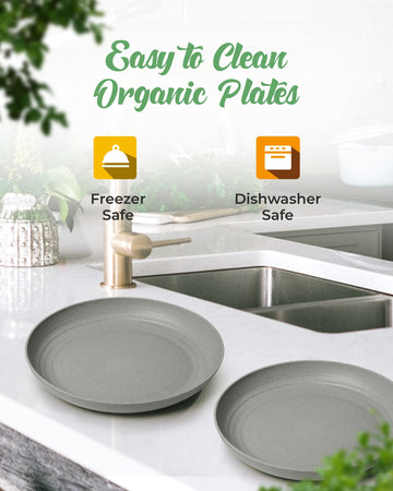 https://mygreendish.com/cdn/shop/files/Plates_Gray_LS3.jpg?v=1701993550&width=360